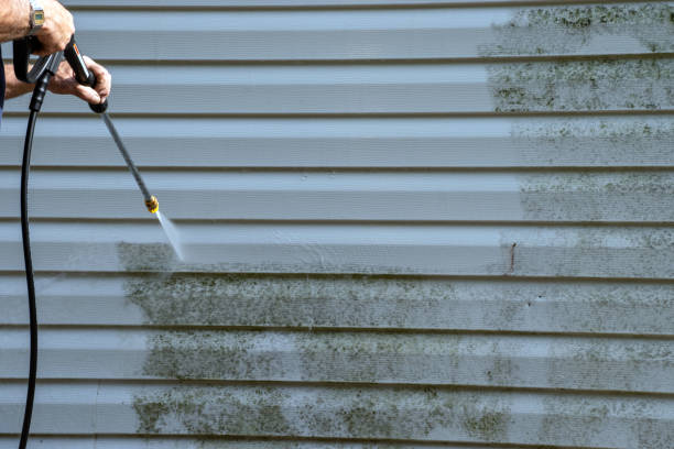 Custom Trim and Detailing for Siding in Avondale, AZ