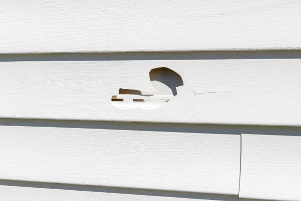 Trusted Avondale, AZ Siding Installation & Repair Experts